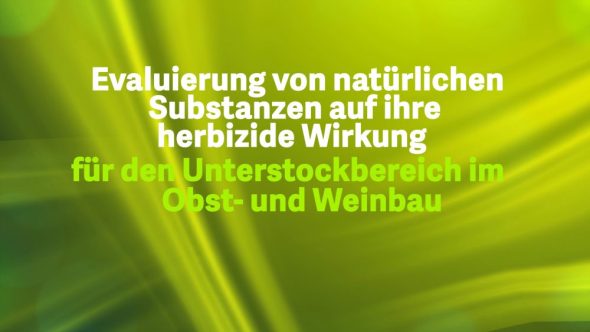 Evaluierung von natürlichen Substanzen auf ihre herbizide Wirkung