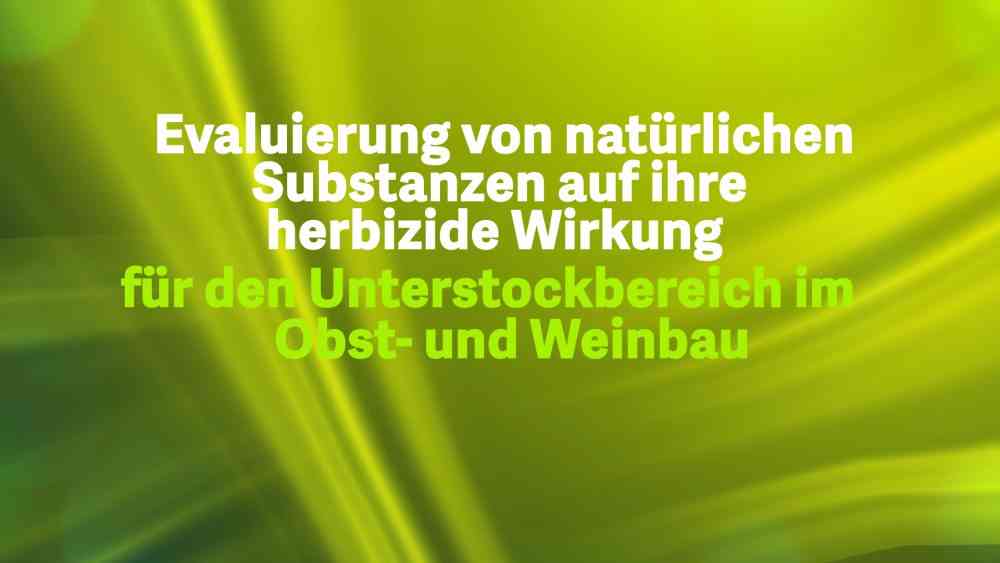 Read more about the article Evaluierung von natürlichen Substanzen auf ihre herbizide Wirkung