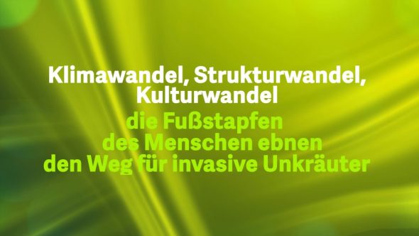 Die Fußstapfen des Menschen ebnen den Weg für invasive Unkräuter