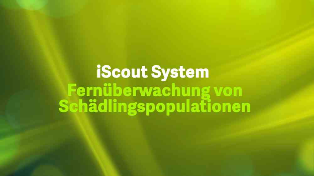 Read more about the article iScout System – Fernüberwachung von Schädlingspopulationen