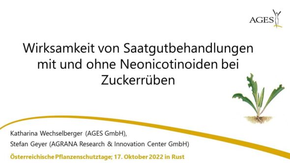 Wirksamkeit von Saatgutbehandlungen mit und ohne Neonicotinoide bei Zuckerrüben