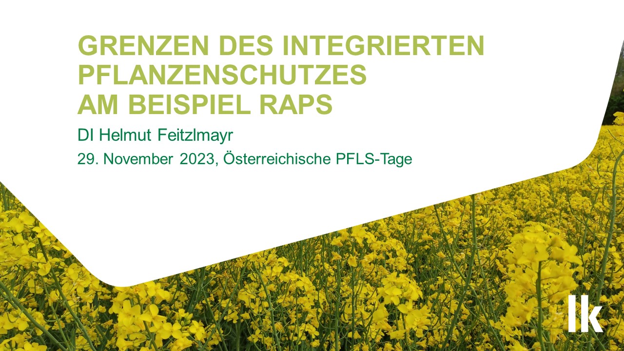 Read more about the article Grenzen des Integrierten Pflanzenschutz am Beispiel Raps