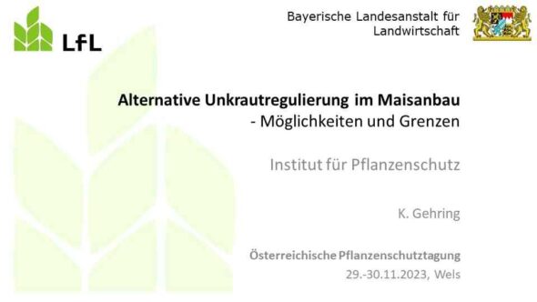 Alternative Unkrautregulierung im Maisanbau – Möglichkeiten und Grenzen