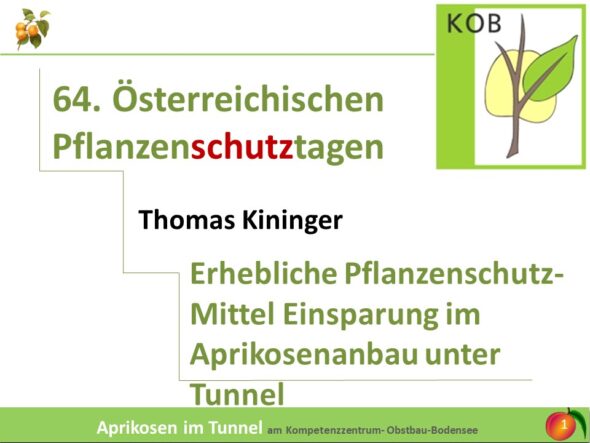 Erhebliche Pflanzenschutz-Mittel Einsparung im Aprikosenanbau unter Tunnel