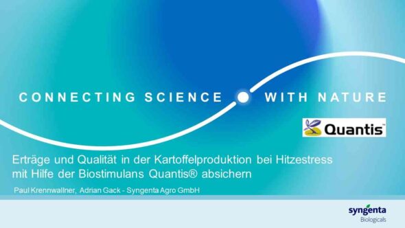 Erträge und Qualität in der Kartoffelproduktion bei Hitzestress