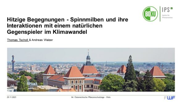 Hitzige Begegnungen – Spinnmilben und ihre Interaktionen mit einem natürlichen Gegenspieler im Klimawandel