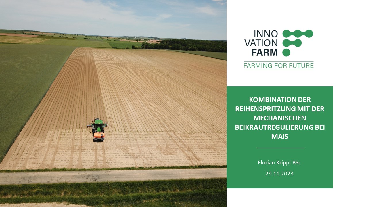 Read more about the article Kombination der Reihenspritzung mit der mechanischen Beikrautregulierung bei Mais
