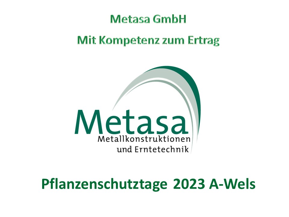 Read more about the article Metasa