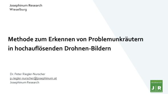 Methode zum Erkennen von Problemunkräutern in hochauflösenden Drohnen-Bildern