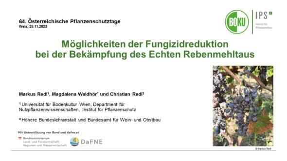 Möglichkeiten der Fungizidreduktion bei der Bekämpfung des Echten Rebenmehltaus