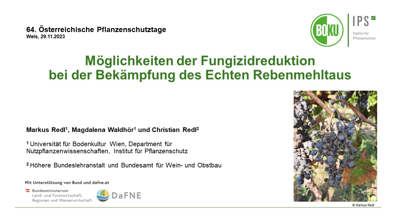 Read more about the article Möglichkeiten der Fungizidreduktion bei der Bekämpfung des Echten Rebenmehltaus