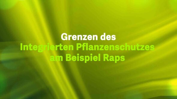 Grenzen des Integrierten Pflanzenschutz am Beispiel Raps