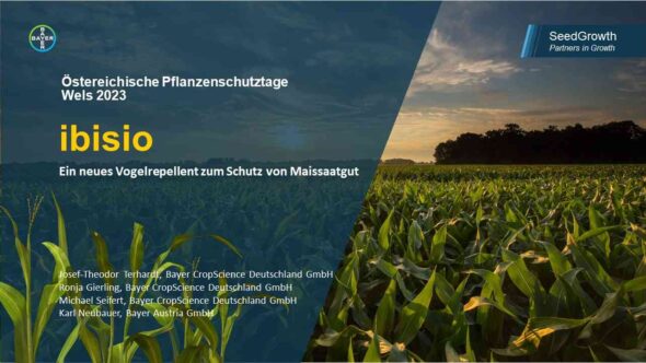 IBISO – Ein neues Vogelrepellent zum Schutz von Maissaatgut