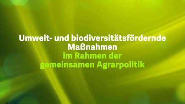 Umwelt  und biodiversitätsfördernde Maßnahmen im Rahmen der gemeinsamen Agrarpolitik