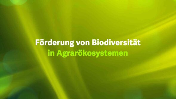 Förderung von Biodiversität in Agrarökosystemen