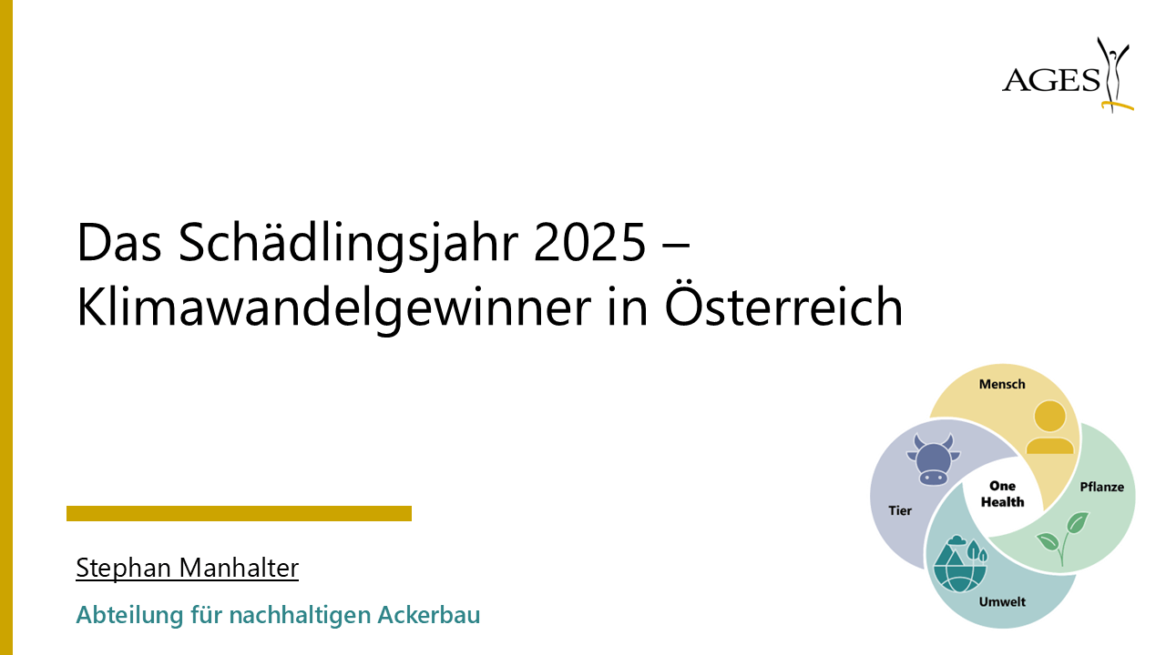 Mehr über den Artikel erfahren Das Schädlingsjahr 2025 –Klimawandelgewinner in Österreich