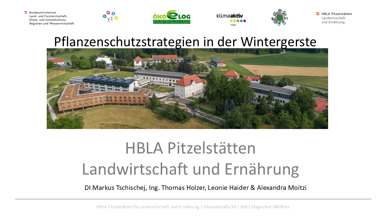 Mehr über den Artikel erfahren Pflanzenschutzstrategien in der Wintergerste