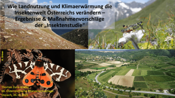 Wie Landnutzung und Klimaerwärmung die Insektenwelt Österreichs verändern –Ergebnisse & Maßnahmenvorschläge der „Insektenstudie“