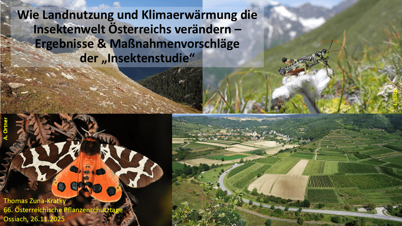 Mehr über den Artikel erfahren Wie Landnutzung und Klimaerwärmung die Insektenwelt Österreichs verändern –Ergebnisse & Maßnahmenvorschläge der „Insektenstudie“
