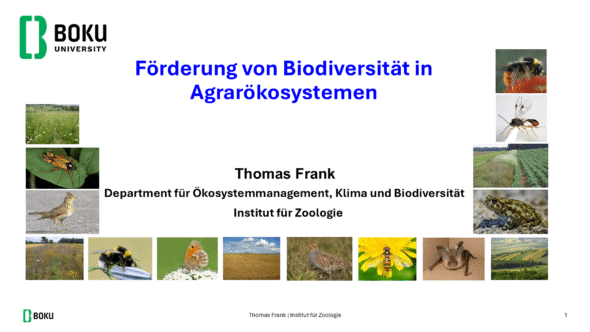 Förderung von Biodiversität in Agrarökosystemen