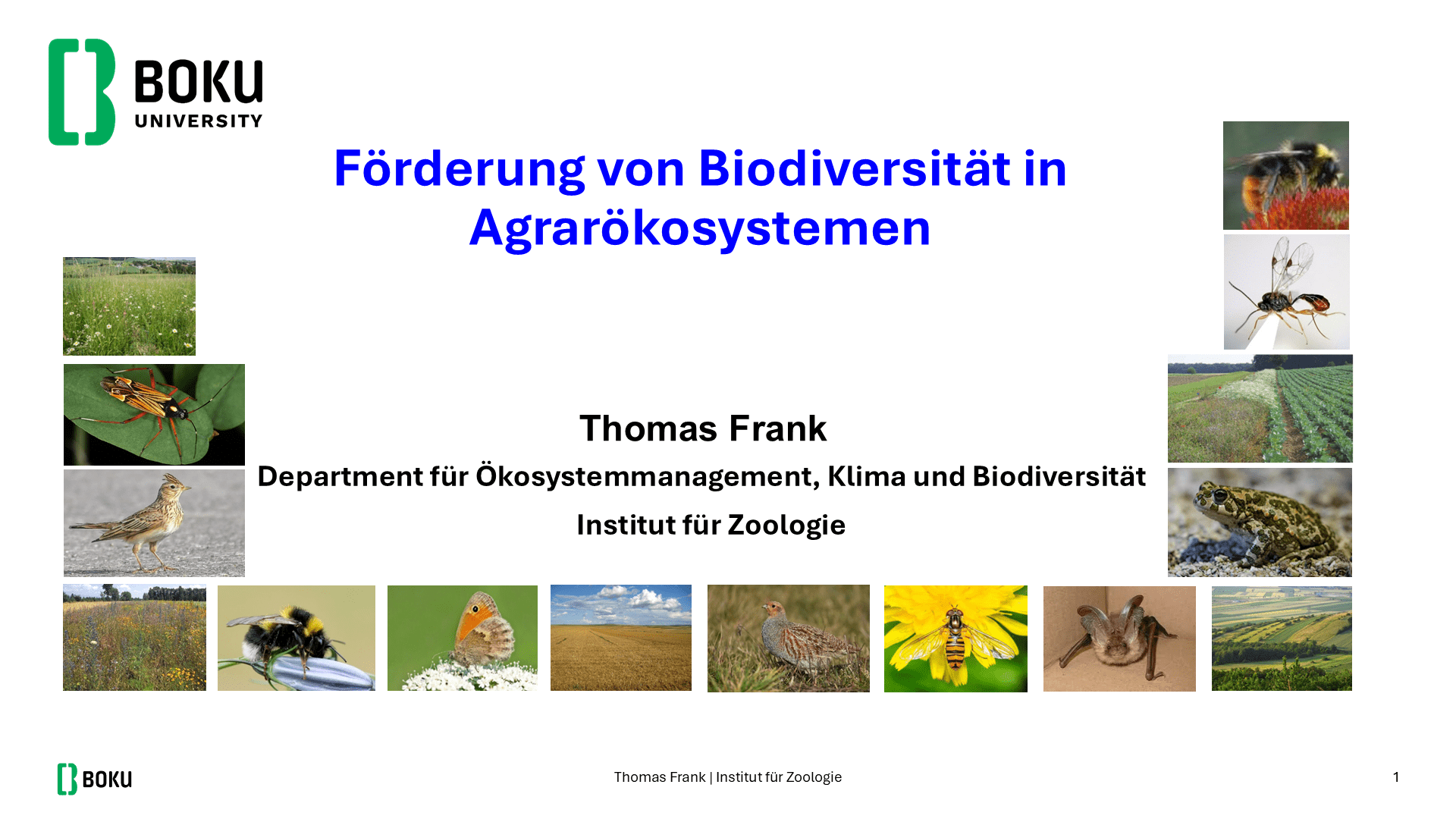 Mehr über den Artikel erfahren Förderung von Biodiversität in Agrarökosystemen