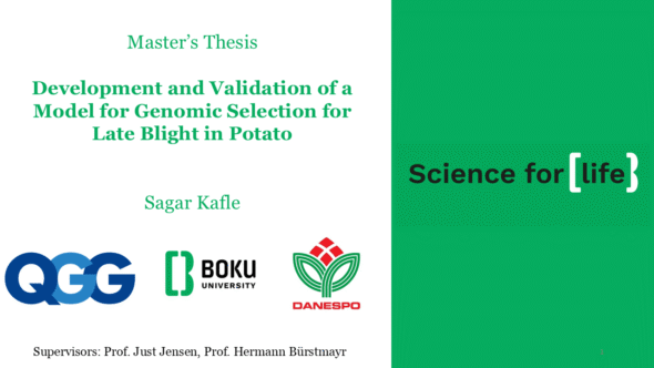 Development and Validation of a Model for Genomic Selection for Late Blight in Potato