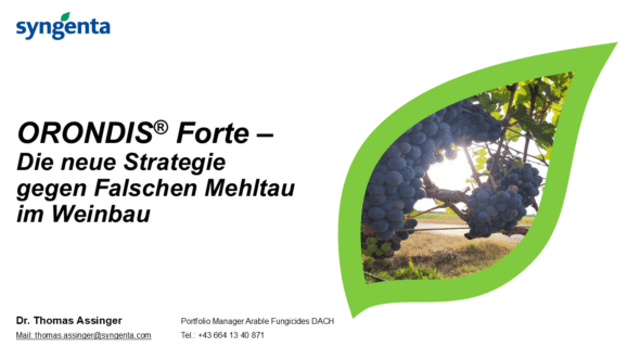 ORONDIS® Forte – Die neue Strategie gegen Falschen Mehltau im Weinbau