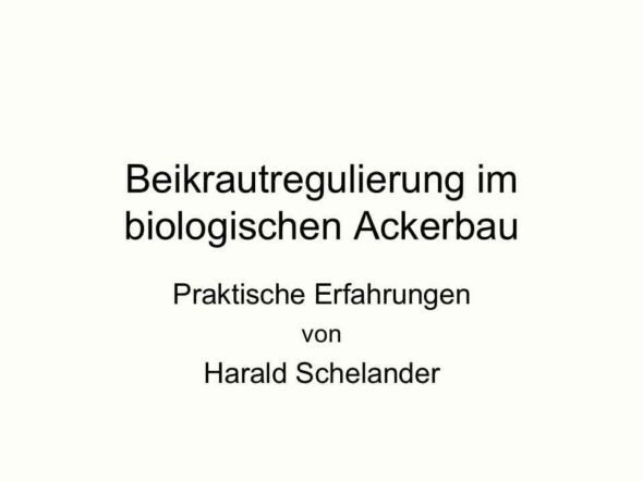 Beikrautregulierung im biologischen Ackerbau