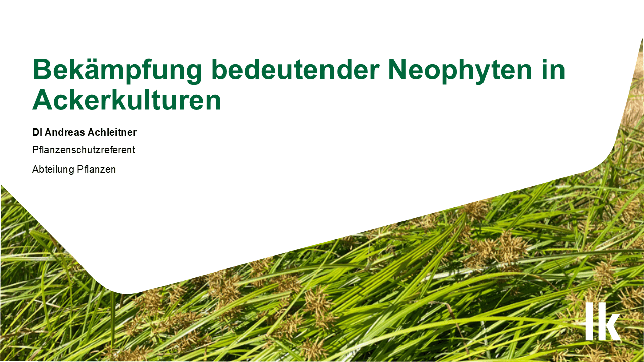 Mehr über den Artikel erfahren Bekämpfung bedeutender Neophyten in Ackerkulturen