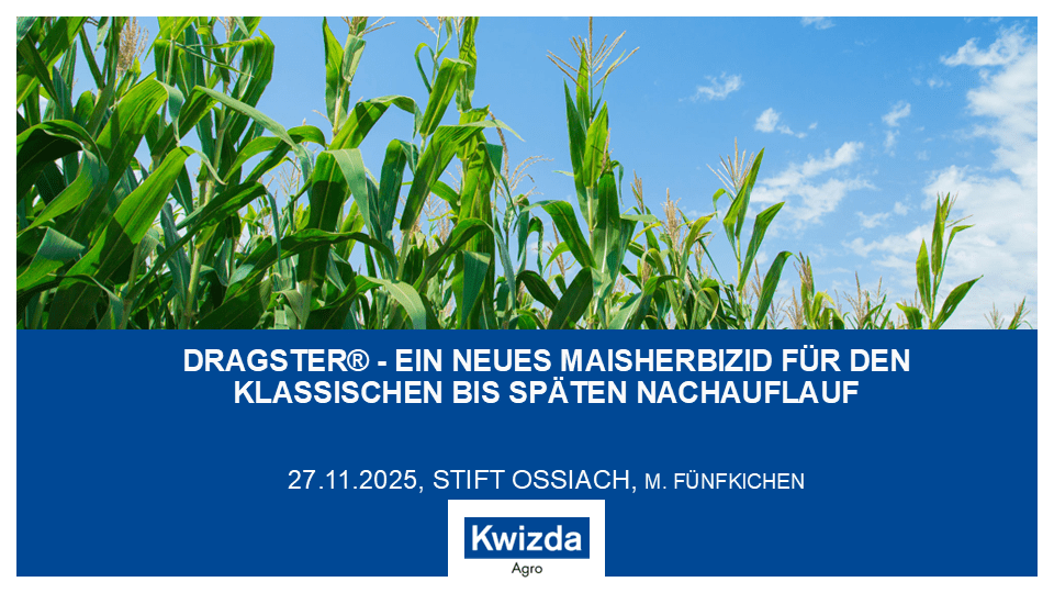 Mehr über den Artikel erfahren DRAGSTER® -EIN NEUES MAISHERBIZID FÜR DEN KLASSISCHEN BIS SPÄTEN NACHAUFLAUF