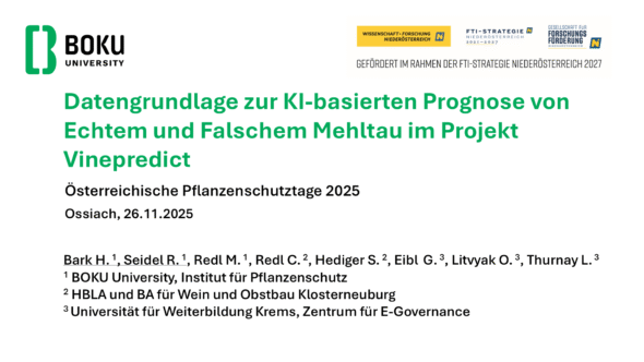 Datengrundlage zur KI-basierten Prognose von Echtem und Falschem Mehltau im Projekt Vinepredict