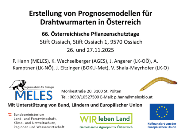 Erstellung von Prognosemodellen für Drahtwurmarten in Österreich