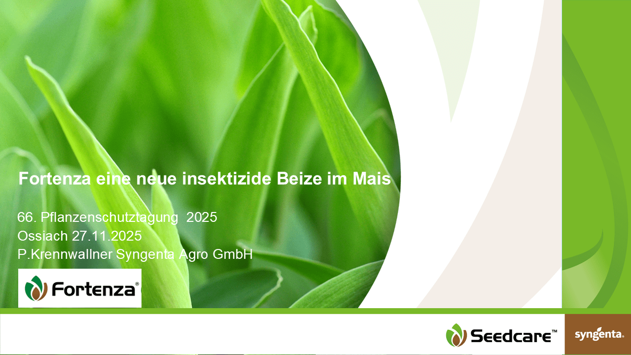 Mehr über den Artikel erfahren Fortenza eine neue insektizide Beize im Mais