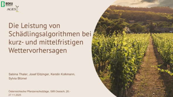 Die Leistung von Schädlingsalgorithmen bei kurz- und mittelfristigen Wettervorhersagen