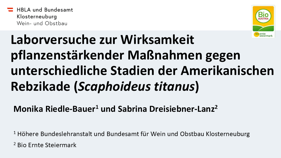 Mehr über den Artikel erfahren Laborversuche zur Wirksamkeit pflanzenstärkender Maßnahmen gegen unterschiedliche Stadien der Amerikanischen Rebzikade(Scaphoideustitanus)